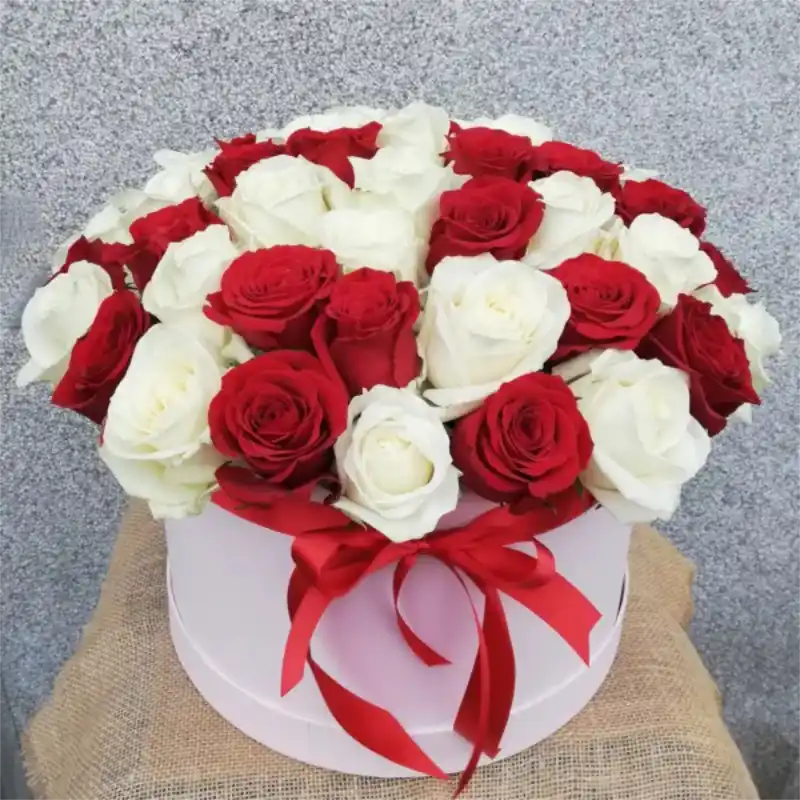 Boxed Red with White Roses  (L)