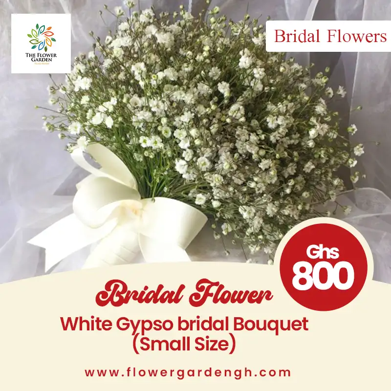 White Bridal Gypso (Small)