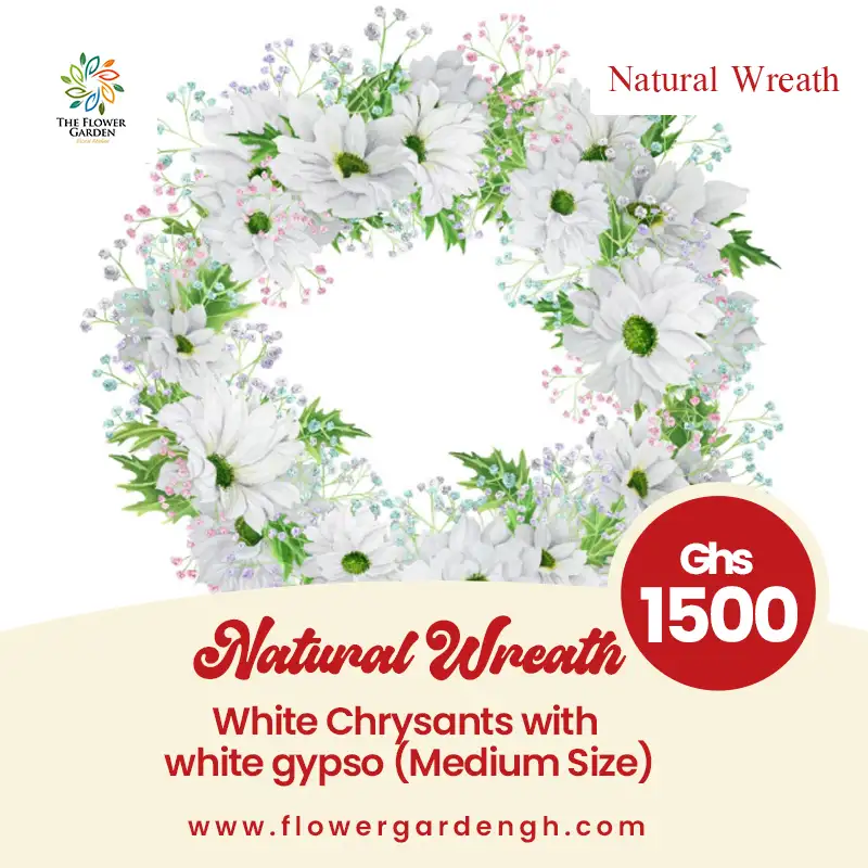 White Chrysants with White Gypso (Medium size)