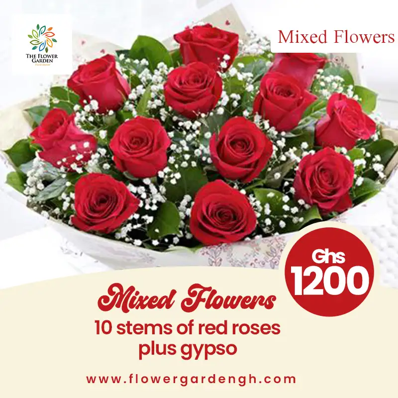 Red Roses plus Gypso