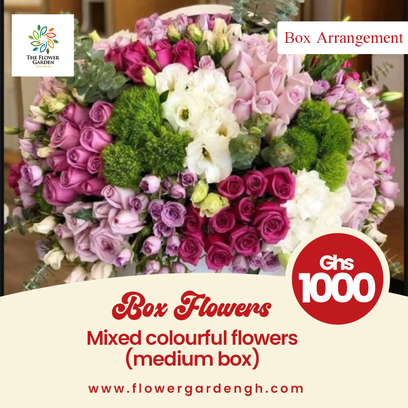 Boxed Colourful Flowers (Mixed)