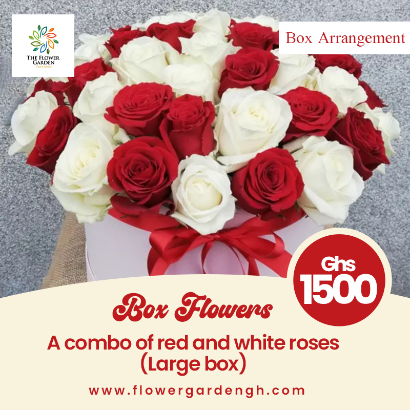 Boxed Red with White Roses  (L)