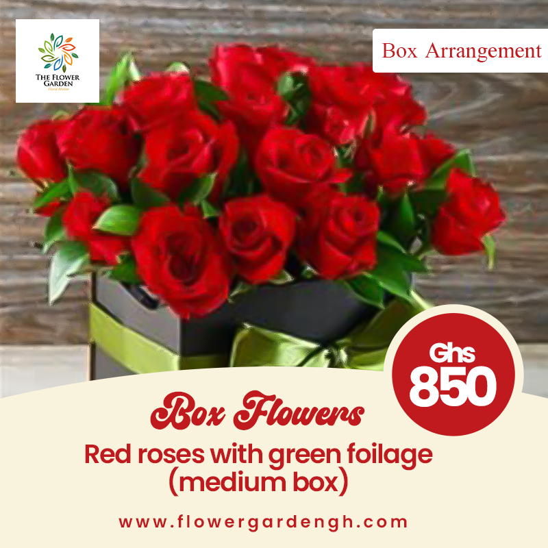 Boxed Red Roses and  Green Foilage (M)