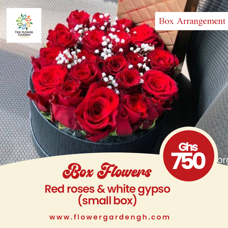 Boxed Red Roses and White Gypso (S)